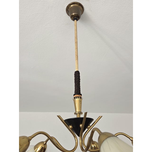 Mid-Century Modern 5-Arm Tulip Chandelier, 50s 60s Sputnik Design Brass Accents For Sale - Image 10 of 12
