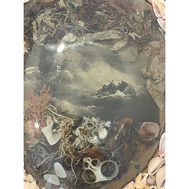Reduced-British Colonial Sea Shell Oval Sailors Valentines For Sale In Miami - Image 6 of 6