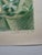 Lithograph of a flowering cactus by Elisabeth Karlinsky, dated 1975. Signed in pencil and numbered 107/280. Unframed. The...