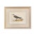 Francis Orpen Morris 19th Century English Bird Engravings by Alexander Francis Lydon, Set 12 For Sale - Image 4 of 18