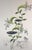 ARTIST: Salvador Dali TITLE: Flora Dalinae Lilium Musicum MEDIUM: Etching SIGNED: Hand Signed EDITION NUMBER: 26/200...