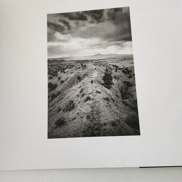 Vintage Georgia O'Keefe Coffee Table Book Art Book For Sale In Los Angeles - Image 6 of 12