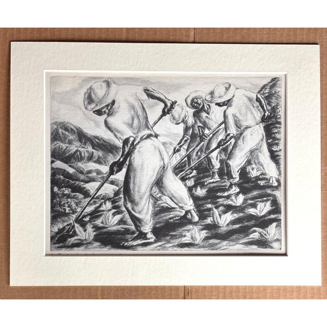American 1939 Print in 11x14 Mat Ready 2 Frame: Irwin D. Hoffman: Pastoral, Puerto Rico For Sale - Image 3 of 3