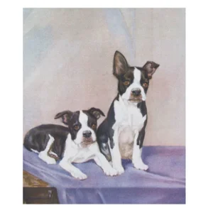 Vintage Diana Thorne Print - Bulldogs