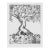 19902 Rosemary Ladd Female Nude Tree Etching For Sale