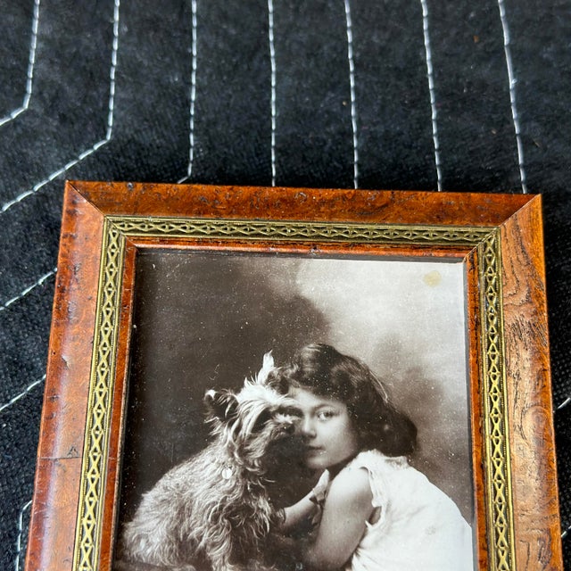 Antique Chums Black & White Photo of Girl With Yorkshire Terrier in Custom Burl Wood and Brass Frame For Sale - Image 4 of 11