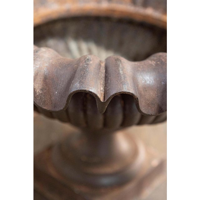 Metal Pair of 19th Century French Cast Iron Urns For Sale - Image 7 of 9