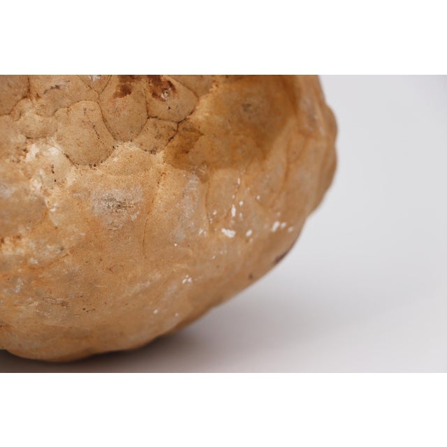 Stone Cerebroid Silex, Middle Jurassic, Iberian Peninsula For Sale - Image 7 of 16