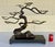 2020s John Richard Modern Bronze and Brass Windswept Tree Sculpture For Sale - Image 5 of 5