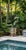Vintage Cast Bronze Perched Parrot Sculpture on Naturalistic Tree Stump Base For Sale - Image 11 of 12
