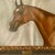 Mid 20th Century Vintage Realist Original Oil on Paper Painting “Captain Flash” Signed For Sale - Image 5 of 13