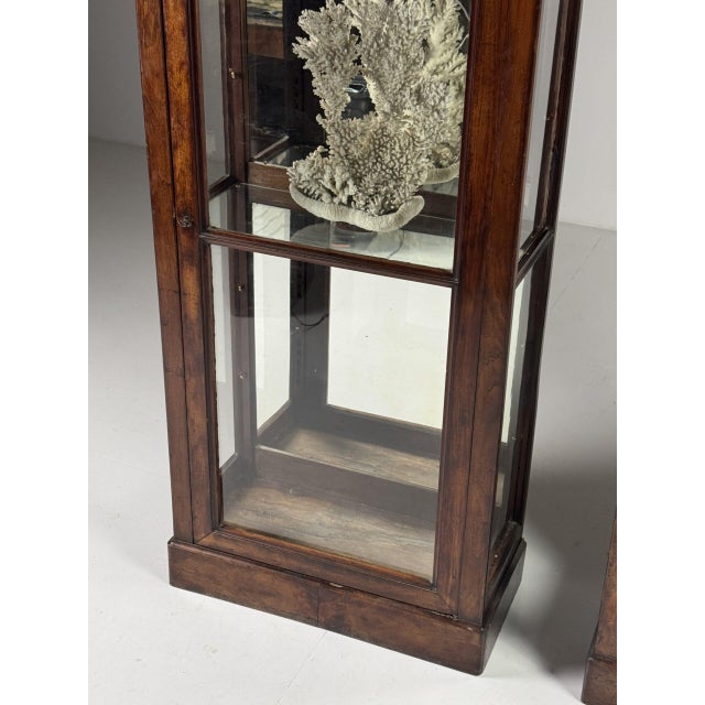 Mahogany Display Cabinets, 19th Century, Set of 2 For Sale - Image 11 of 18
