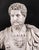 Antique 20th Century Marble Busts of Emperors Lucius Verus & Antoninus Pius, Set of 2 For Sale - Image 11 of 18