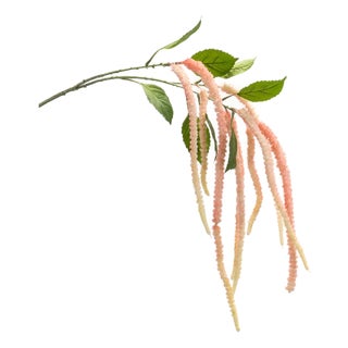 Amaranthus Floral Stem (Set of 4) For Sale