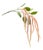 Amaranthus Floral Stem (Set of 4) For Sale