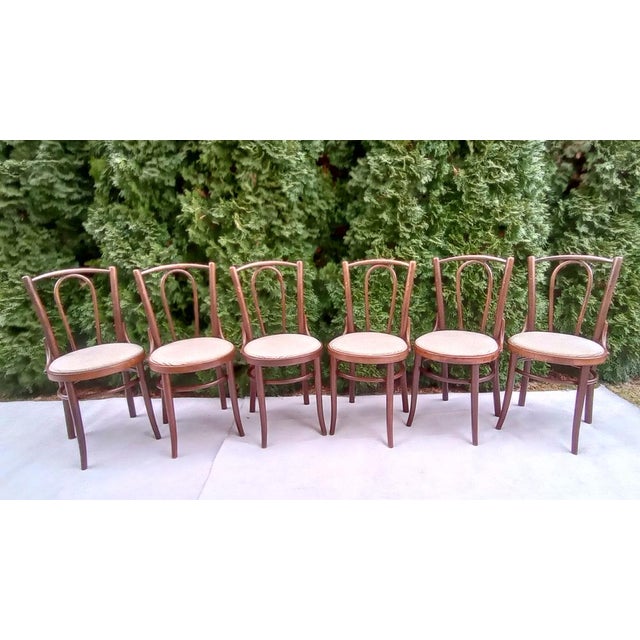 Chairs in Beech Bentwood from Tatra, 1960s, Set of 6 For Sale - Image 14 of 15