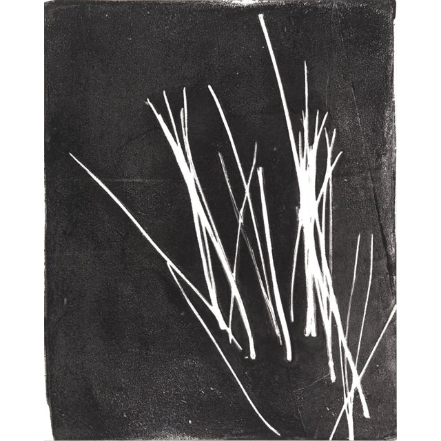 Pine Needles 01-08, Set of 8 - Original Monoprint 8*10 Abstract Prints by Carrie Bergey, Black White For Sale - Image 12 of 12