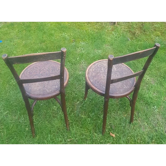 Set of Wood Coffee House Chairs from Thonet For Sale - Image 3 of 4