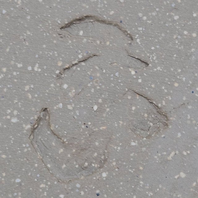 Studio Pottery Sgraffito Carved Lidded Box, Signed For Sale - Image 11 of 11