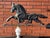 Early 20th Century Copper Horse Weathervane With Copper Ball and Milk Glass & Wood Stand For Sale - Image 6 of 14