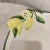 Ceramic Late 20th Century Italian Lemon Bowl Vintage - Marked Italy For Sale - Image 7 of 10