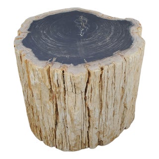 Large Petrified Wood Side Table by Xyleia Petrified Wood For Sale