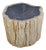 Large Petrified Wood Side Table by Xyleia Petrified Wood For Sale
