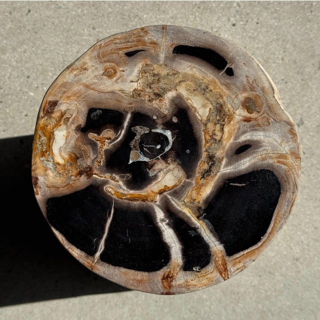 Petrified Wood Side Table For Sale - Image 17 of 18