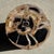 Petrified Wood Side Table For Sale - Image 17 of 18