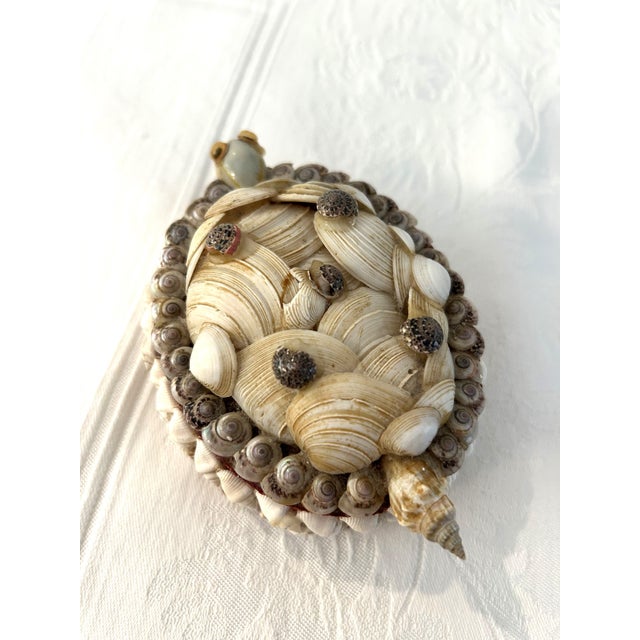 Charming vintage lidded keepsake box with various applied small shells to create a turtle. Box is made of wood and lined...