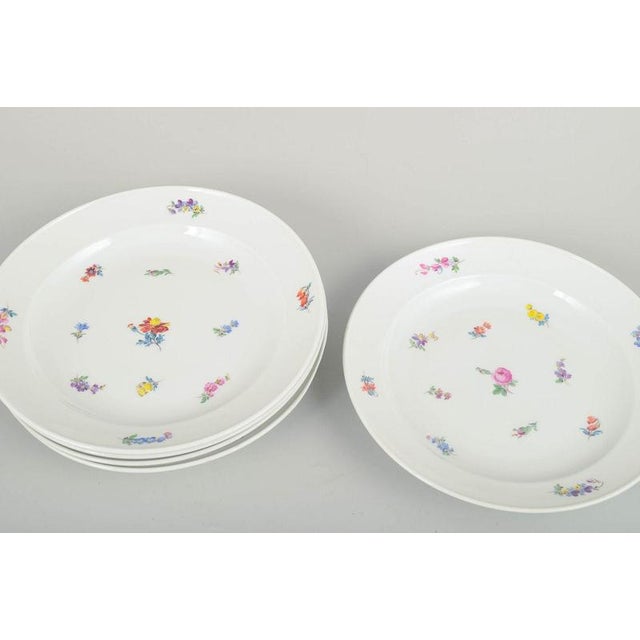 Meissen, Germany set of six dinner plates. Beautiful Meissen porcelain dinner plates with hand-painted polychrome floral...