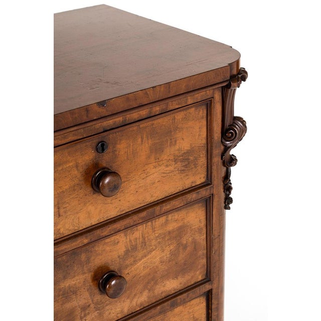Brown Early Victorian Chest of Drawers For Sale - Image 8 of 14