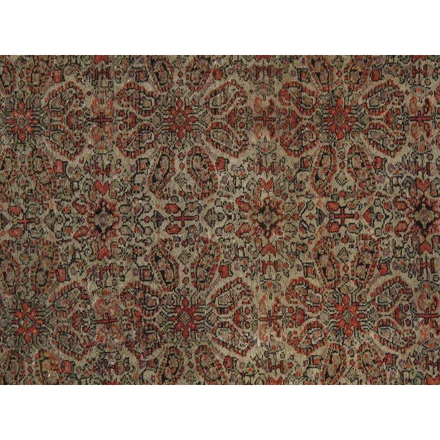 Antique Senneh Rug with Multicolored Silk Warp, Handmade, Fine Ivory, Red, Blue For Sale - Image 15 of 17