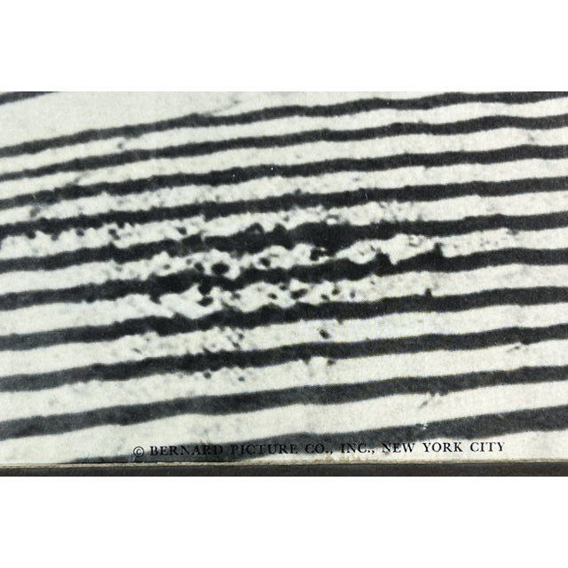 Vintage Framed Black & White Lithograph Print of a Beach Sand Dune Fence For Sale In Providence - Image 6 of 8