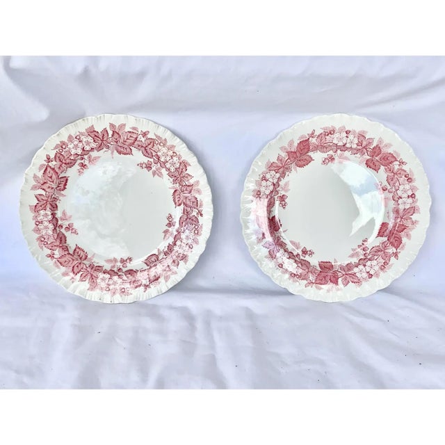 Beautiful pair of vintage salad plates. Made by Wedgwood and in the Bramble of Etruria pattern. Lovely floral design in...