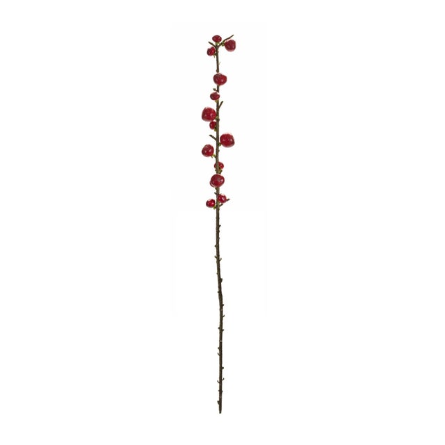 Rustic Red Berry Twig Stem (Set of 6) For Sale - Image 3 of 3