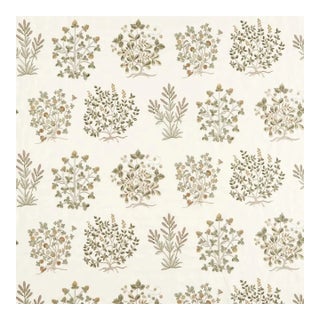 Sanderson Thyme Walk Fabric in Lichen/Gooseberry For Sale