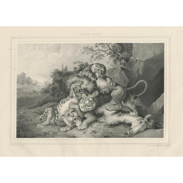 Raden Saleh, Tigers & Lions Fight Horse, Lithograph, 1845 For Sale - Image 5 of 10