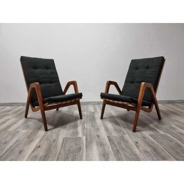 Wood Set of Lounge Chairs by Jan Vanek For Sale - Image 7 of 7