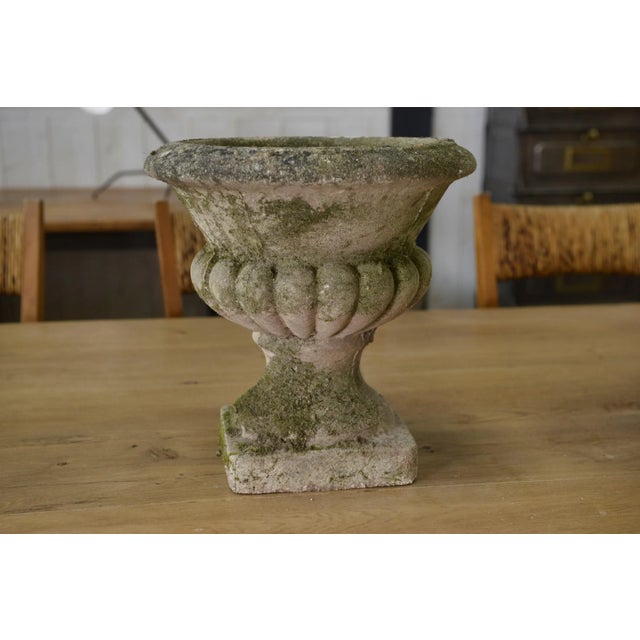 Medici Vases in Reconstituted Stone, 1950s, Set of 2 For Sale - Image 10 of 12
