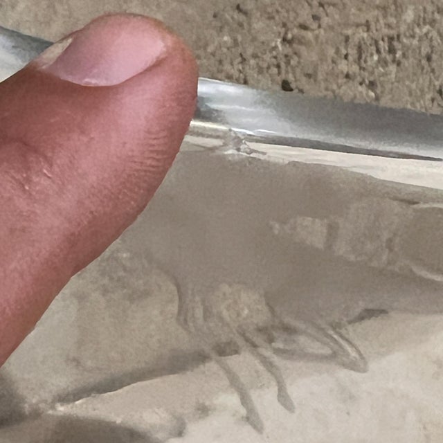 1970s Strombergshyttan Crystal Art Glass Vase Etched Deer For Sale - Image 9 of 12