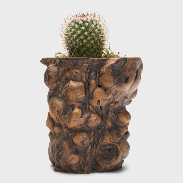 Set alongside the four treasures of the study - the calligraphy brush, ink, paper, and inkstone - a brush pot was a...