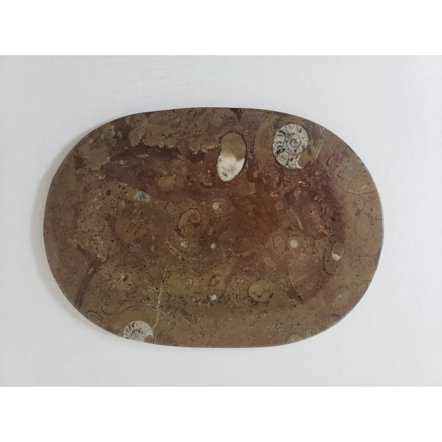 Stone Oval Fossil Plate Dish For Sale - Image 7 of 7