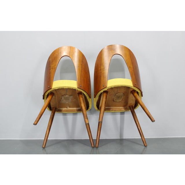 Vintage Dining Chairs in Walnut by Antonin Suman, 1960s, Set of 4 For Sale - Image 14 of 17