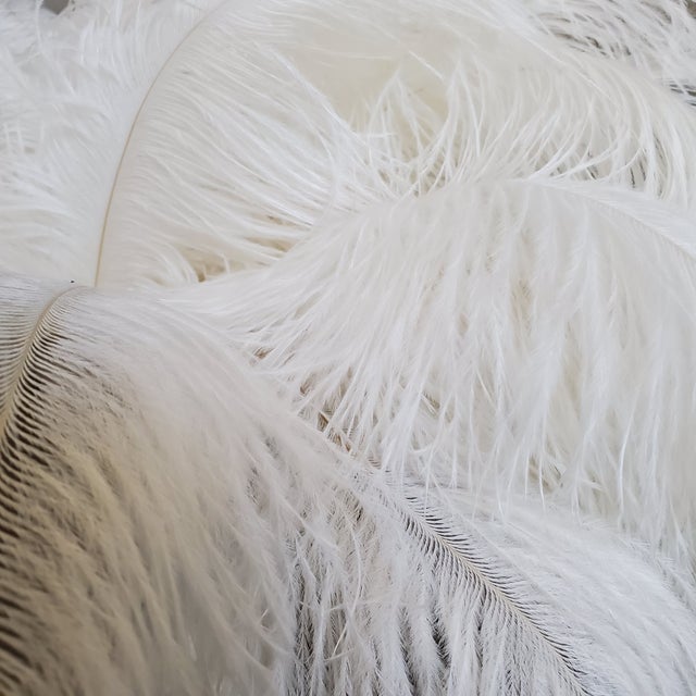 Naturally Shed White Ostrich Feathers, 25 Piece Chairish