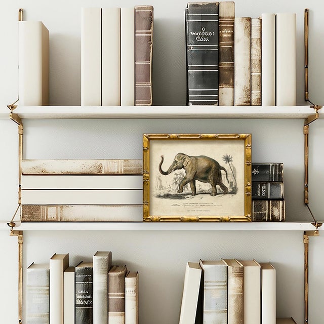 This lovely elephant print is from our vintage "Safari" series. Please note there are 4 images in this series, see our...