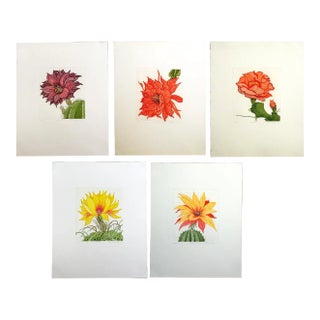1981 Portfolio of Cactus Flower Etchings After Arnold Iger - Set of 5 For Sale
