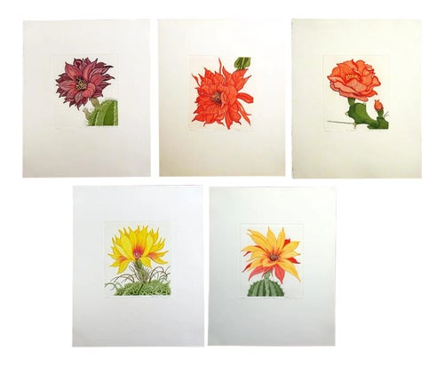 1981 Portfolio of Cactus Flower Etchings After Arnold Iger - Set of 5