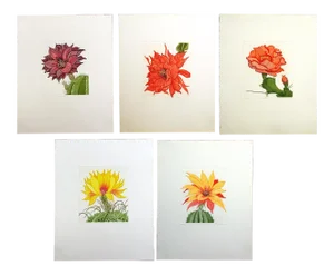 1981 Portfolio of Cactus Flower Etchings After Arnold Iger - Set of 5