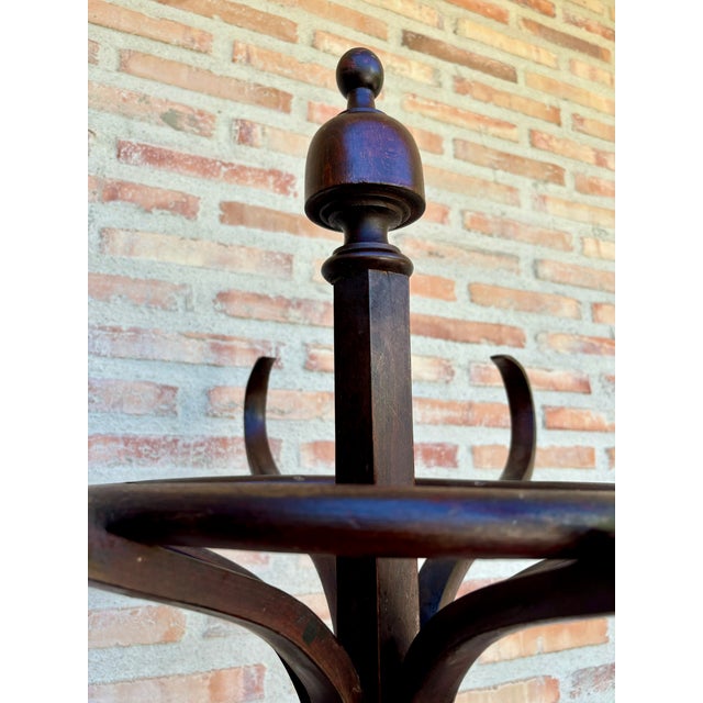 Early 20th Century Coat Stand from Thonet, 1950s For Sale - Image 6 of 8